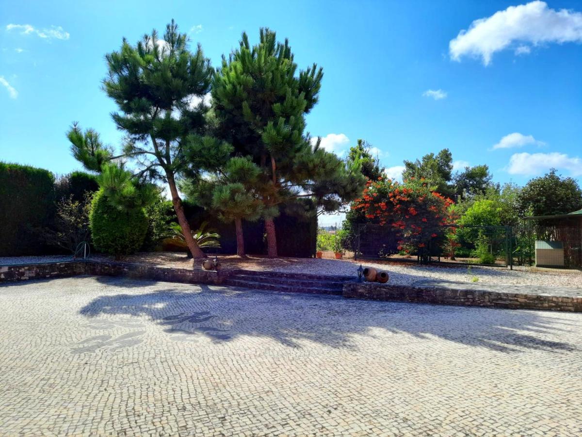 Qm - Quinta Da Morgadinha - Casa Em Quinta Rural Villa Cabecos Buitenkant foto