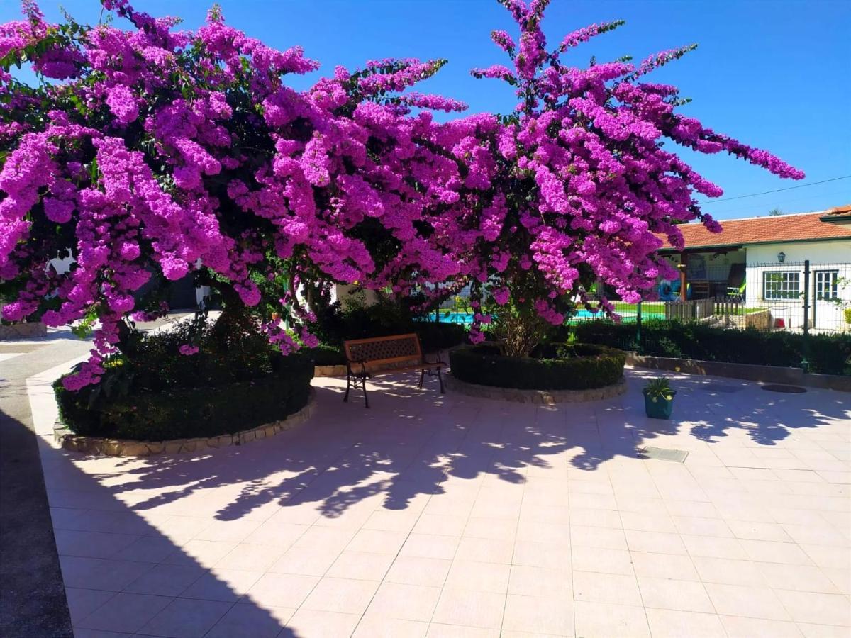 Qm - Quinta Da Morgadinha - Casa Em Quinta Rural Villa Cabecos Buitenkant foto