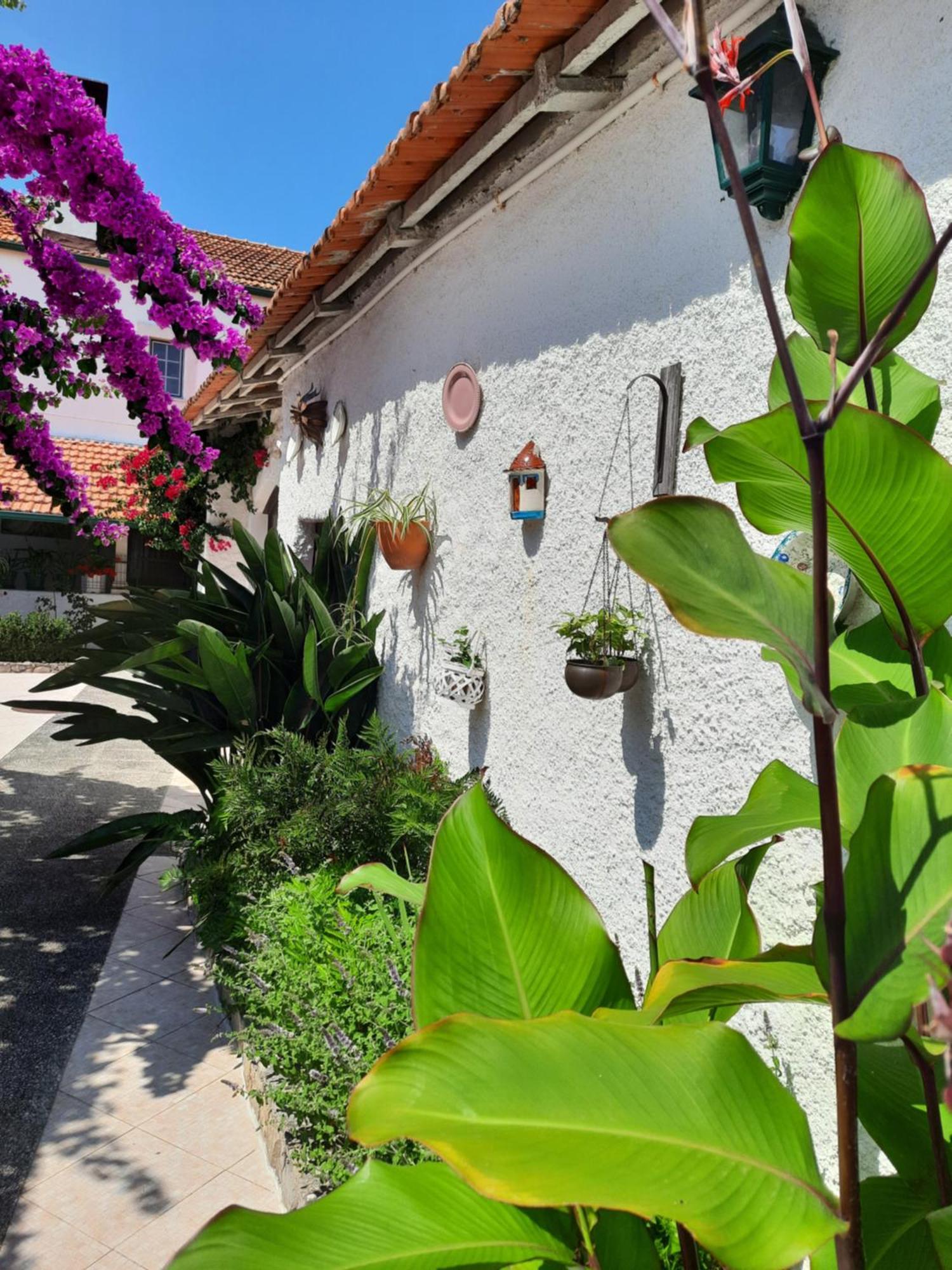 Qm - Quinta Da Morgadinha - Casa Em Quinta Rural Villa Cabecos Buitenkant foto